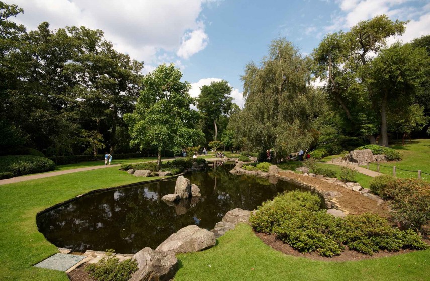 Paisajismo / jardinería